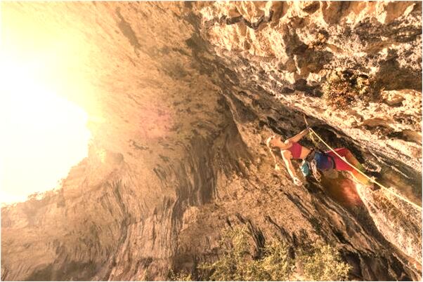 夢到了抓了許多大白魚是好事還是壞事_周公解夢官網