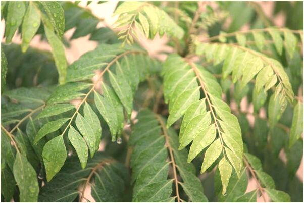 夢到了有遠方個朋友來家作客會有什麼預兆_周公解夢官網