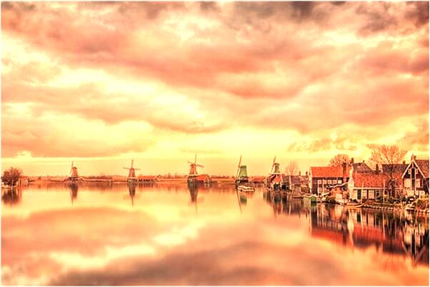 夢到自己買綠豆芽啥意思_周公解夢官網