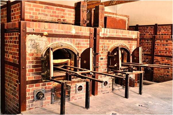 夢見無頭蛇還活著有什麼寓意嗎？_周公解夢官網