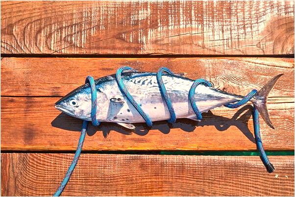 夢見夢借別人錢打牌有什麼意義嗎_周公解夢官網