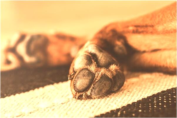 夢到即將去旅遊會是什麼預兆_周公解夢官網