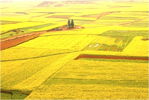夢到了別個屋頭房子淹沒代表什麼_周公解夢官網