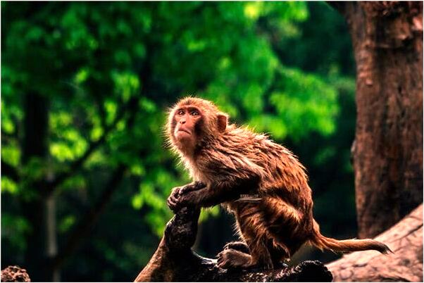 夢到了湖崖邊釣魚滑掉湖水裡是咋回事_周公解夢官網