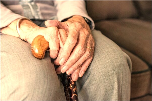 夢到了踩蟻窩是什麼徵兆_周公解夢官網