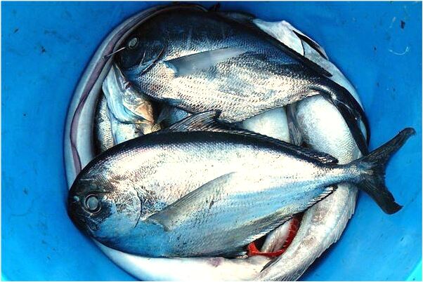 夢見穿的新衣服有什麼預示嗎_周公解夢官網