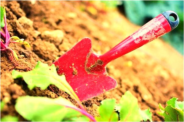 夢到了感覺溝里的水在倒流有什麼意義嗎_周公解夢官網