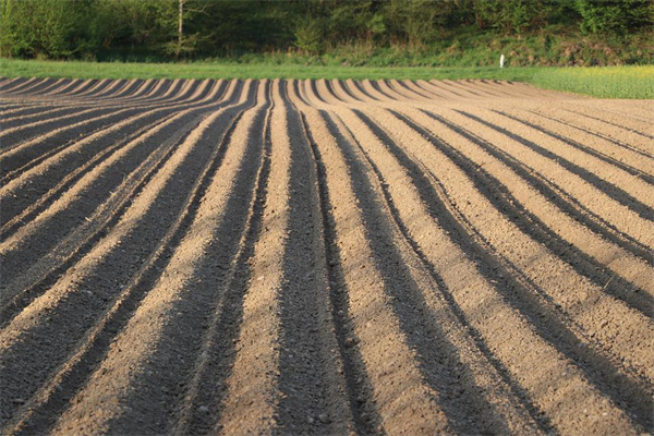 夢到田坎有什麼含義_周公解夢