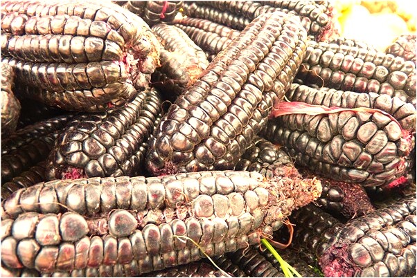 夢見阻止我愛的人和別人結婚代表著什麼_周公解夢官網