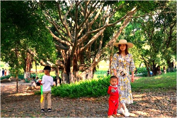 夢到了全家人在抬鋼材是凶兆還是吉兆_周公解夢官網