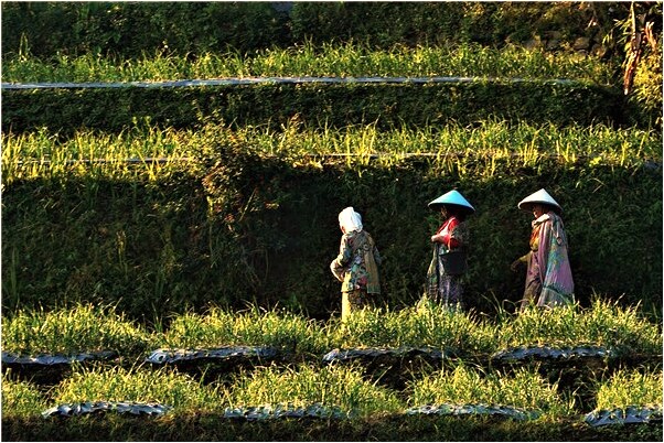 夢見小河溝會怎么樣_周公解夢官網