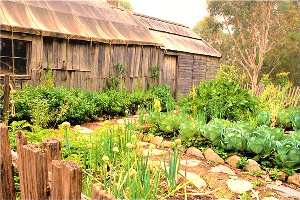 夢到了剛結婚就離婚是好的徵兆嗎_周公解夢官網