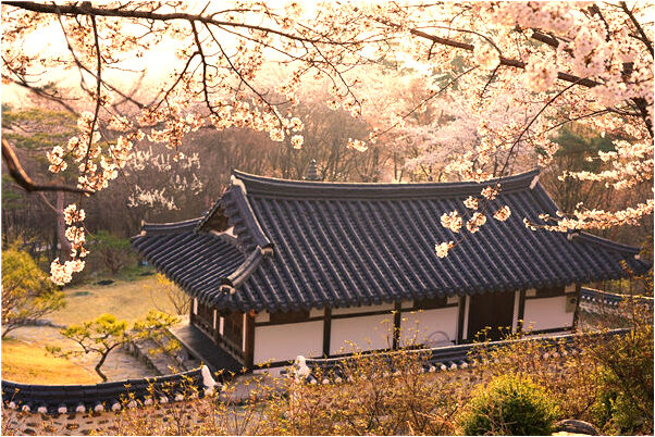 夢到牙全掉光了也不痛有什麼寓意嗎?_周公解夢官網