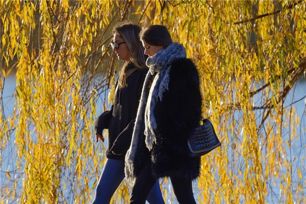 夢見朋友旅遊會是什麼預兆_周公解夢