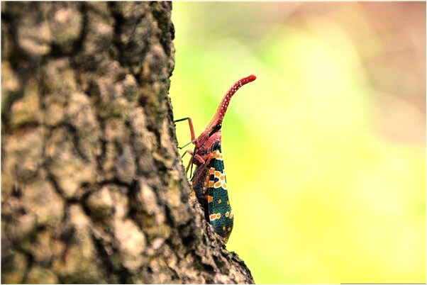 夢到別人生的小孩有什麼預兆_周公解夢官網