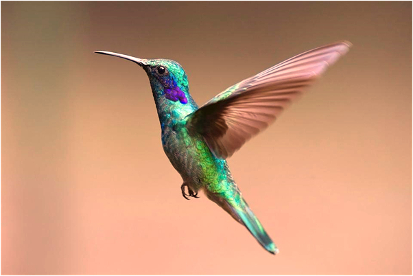 夢見走路時丟一隻鞋又找回來了會是什麼預兆_周公解夢官網