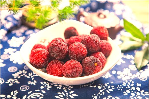 夢到特別好的天氣是什麼預兆？_周公解夢官網