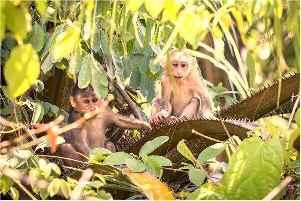 夢到同意異性的表白是什麼意思？_周公解夢官網