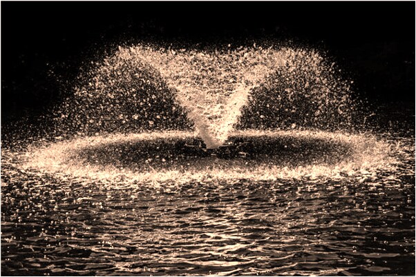 夢見廁所糞便意味著什麼_周公解夢官網