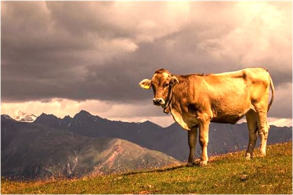 夢到了要去泡溫泉代表著什麼？_周公解夢官網