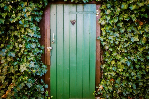 夢到了豬舍里拉屎代表著什麼？_周公解夢