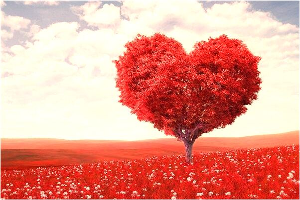 夢到別人送自己橙子會是什麼預兆_周公解夢官網