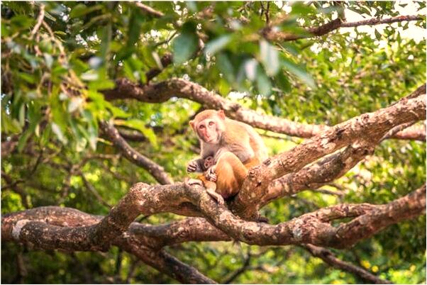 夢見自己的目前死亡會有什麼預兆_周公解夢官網