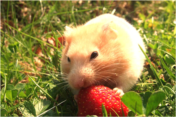 夢見自己女朋友去坐檯了是什麼徵兆_周公解夢官網