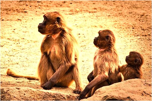 夢見海里洗澡的預兆_周公解夢官網