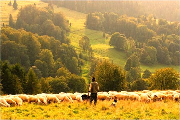 夢到了和劉詩詩在一起是什麼意思_周公解夢官網