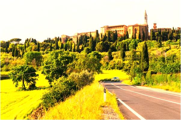 夢到貓生寶寶有什麼寓意嗎_周公解夢官網