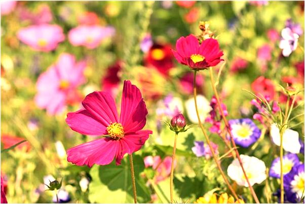 夢到了腿全是血會怎么樣_周公解夢官網