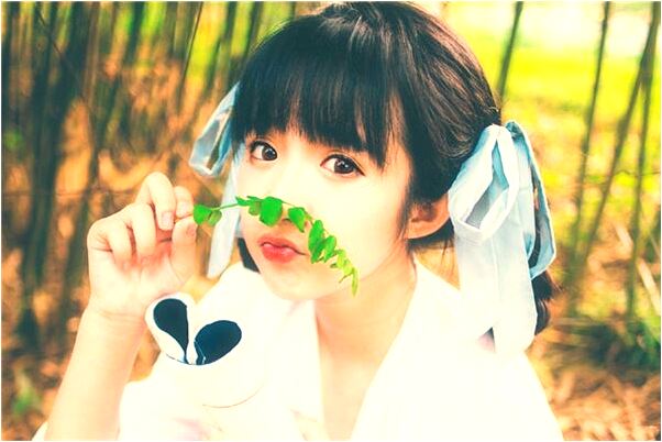 夢到黑貓和花貓怎么回事_周公解夢官網