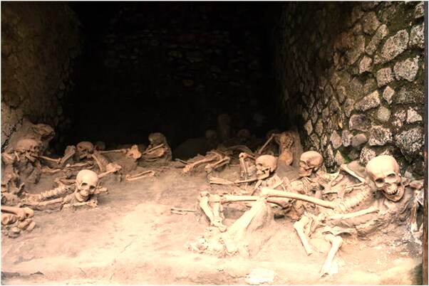 夢到自己牙齒掉光了是什麼意思？_周公解夢官網