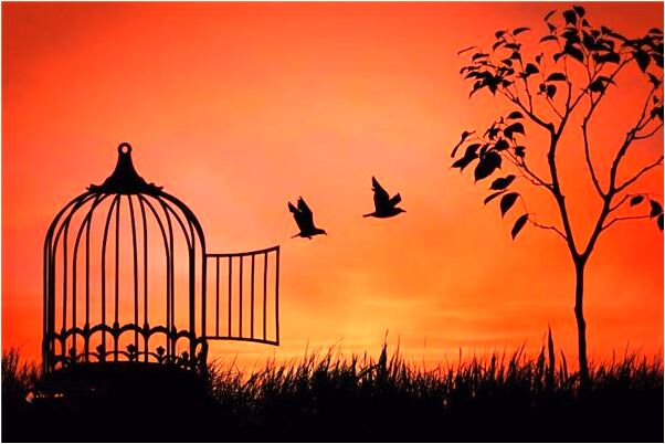 夢到有人給我吹簫代表著什麼？_周公解夢官網