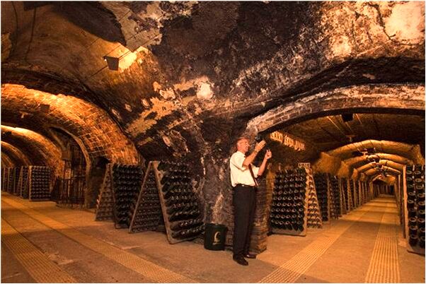 夢到蜈蚣趴在自己身上什麼寓意_周公解夢官網