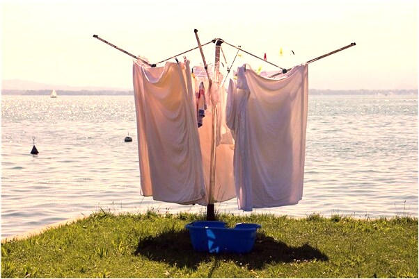 夢到池裡的水一下子放幹了好不好_周公解夢官網