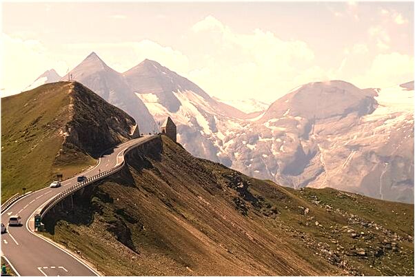 夢見狼群吃人是什麼意思?_周公解夢官網