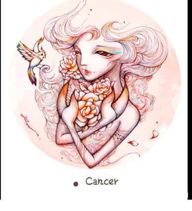 Cancer boys put marriage psychological _ the zodiac