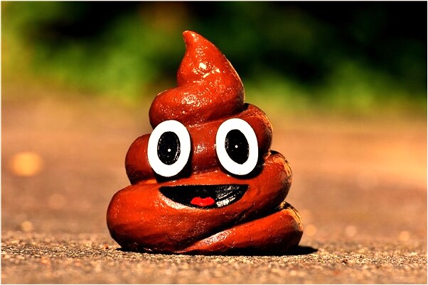 夢見為錢吵架有什麼徵兆_周公解夢官網