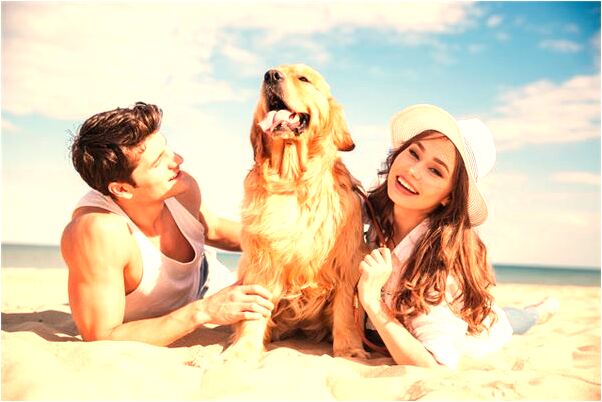 夢到了踩死蟲子怎么說_周公解夢官網