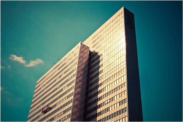 夢見母豬生小豬但夭折了一頭是吉兆嗎?_周公解夢官網