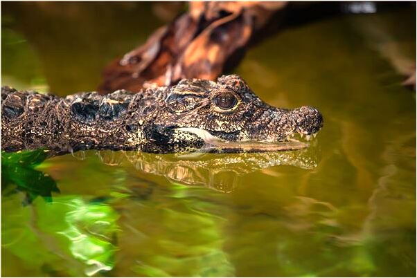 夢到了在男朋友家做愛是什麼啟示_周公解夢官網