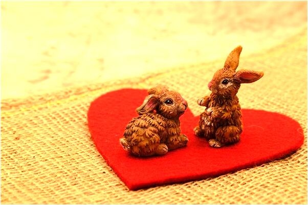 夢到了兒女生殖器官有什麼含義_周公解夢官網