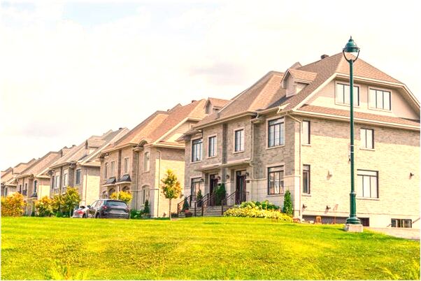 夢到家養小雞會是什麼預兆_周公解夢官網