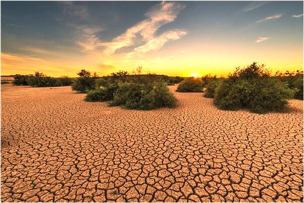 夢到了茶水裡有牙齒是啥意思_周公解夢官網