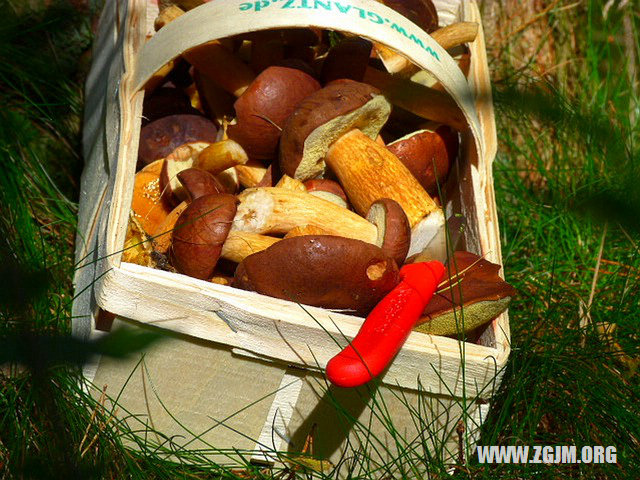 夢見救孩子_周公解夢夢到救孩子是什麼意思_做夢夢見救孩子好不好_周公解夢官網