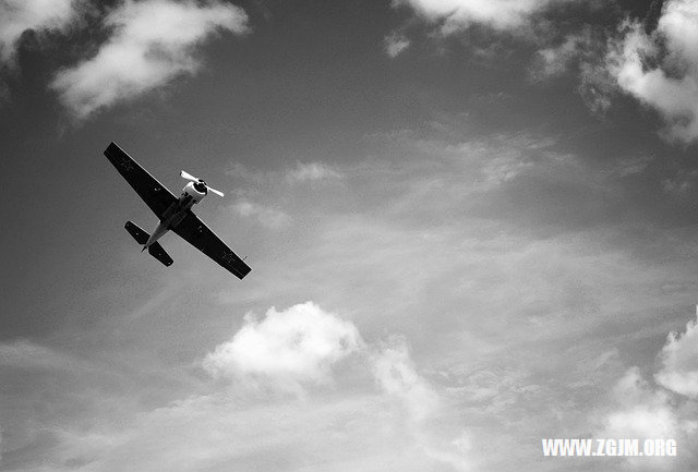 夢見殺牛分肉_周公解夢夢到殺牛分肉是什麼意思_做夢夢見殺牛分肉好不好_周公解夢官網