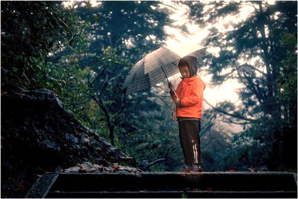 夢到狗狗死了以後又活了意味著什麼_周公解夢官網