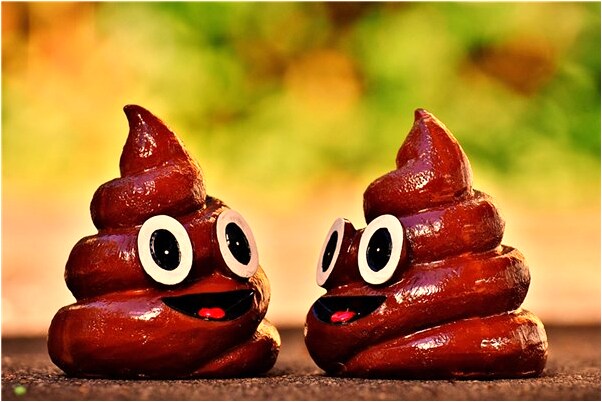 夢到我有一個白書包不見了有什麼寓意嗎？_周公解夢官網